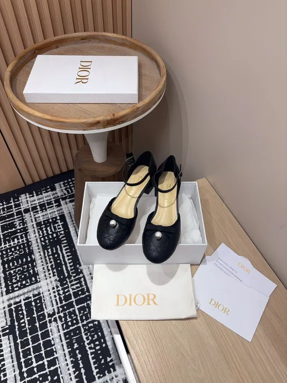 Dior Shoe 